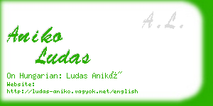 aniko ludas business card